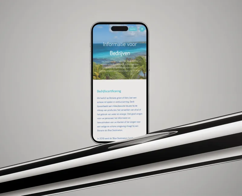 Detail van de website voor KVK Bonaire, afbeelding 1