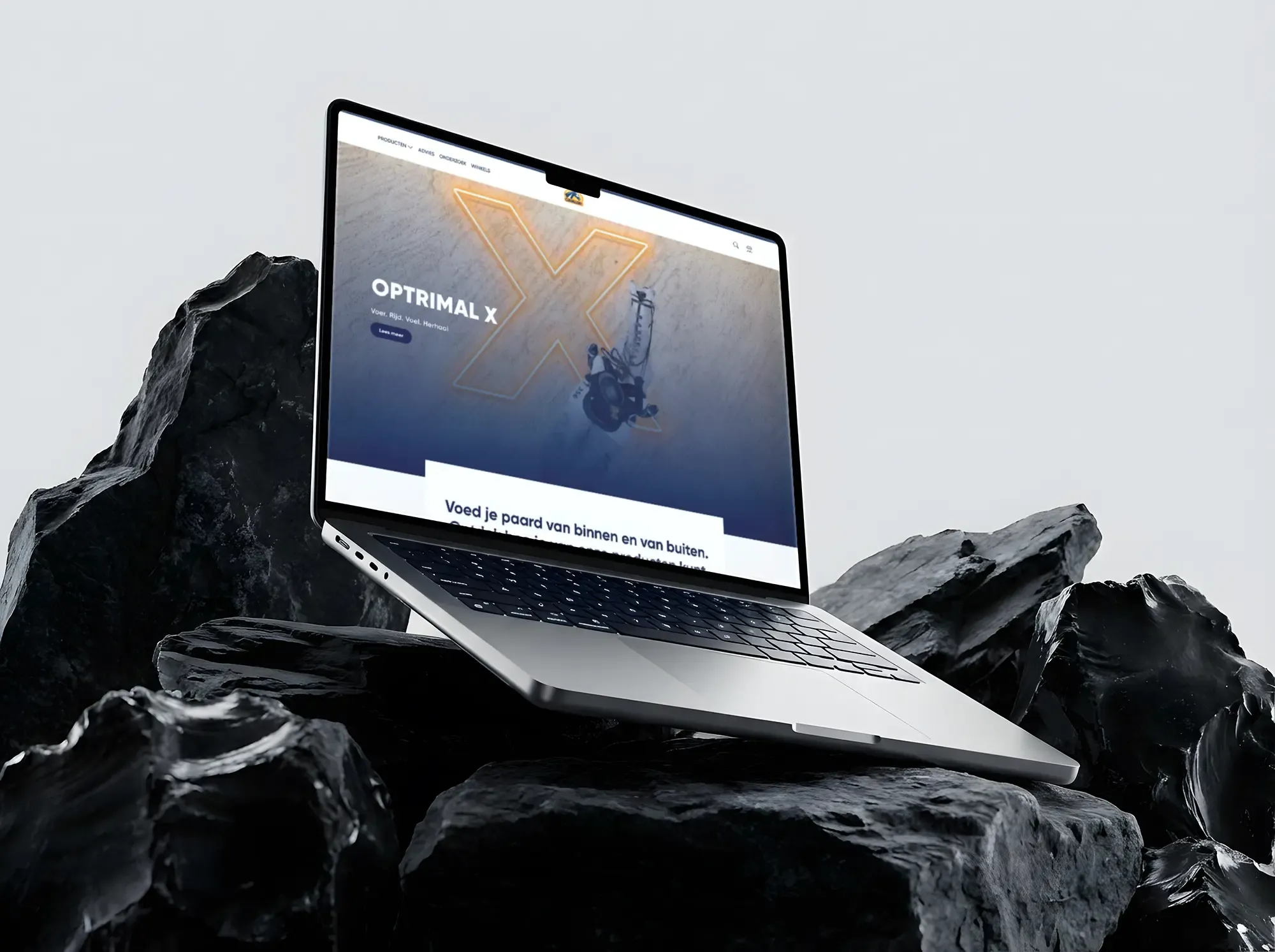 Cavalor: één platform voor vijf talen